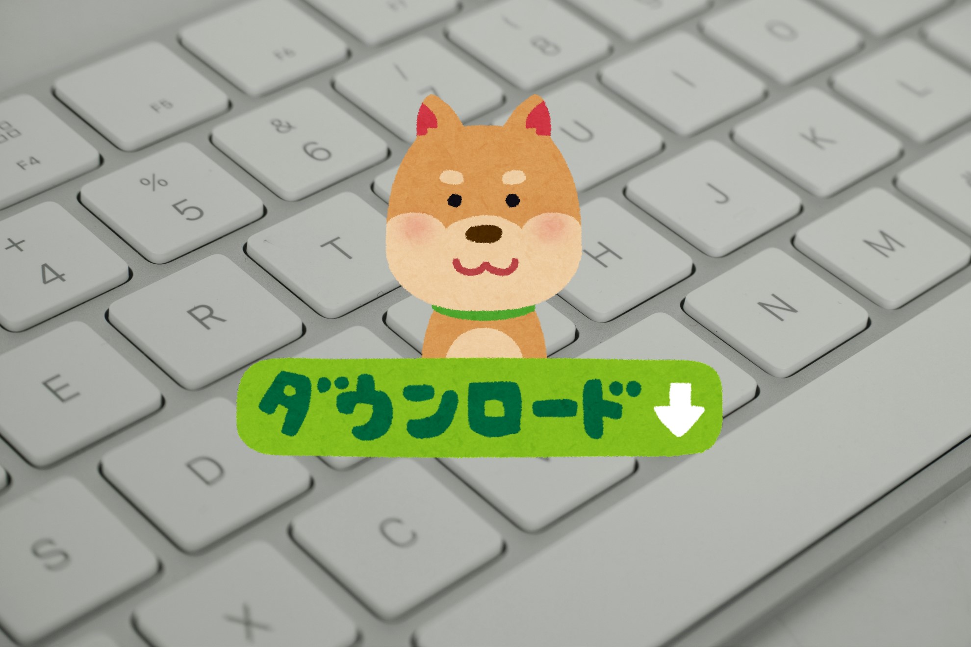 ダウンロード